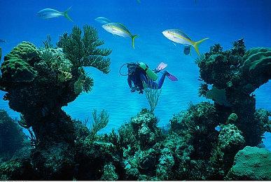 《战地2042》Xbox已经可以预载了 XSX＆S 54GB